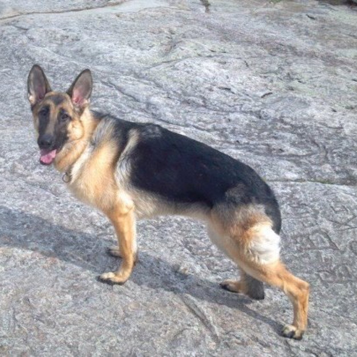 Frank63771154's profile picture. 