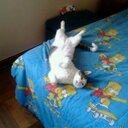 Thomas Gallegos - @ThomasGallegos8 - Twitter