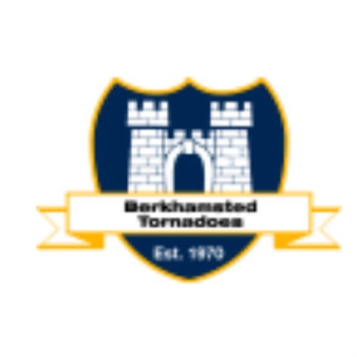 Oldest club in the Berkhamsted Sunday League. We have three teams: Firsts in the Premier Division, Reserves in the First Division and A's in the Third Division