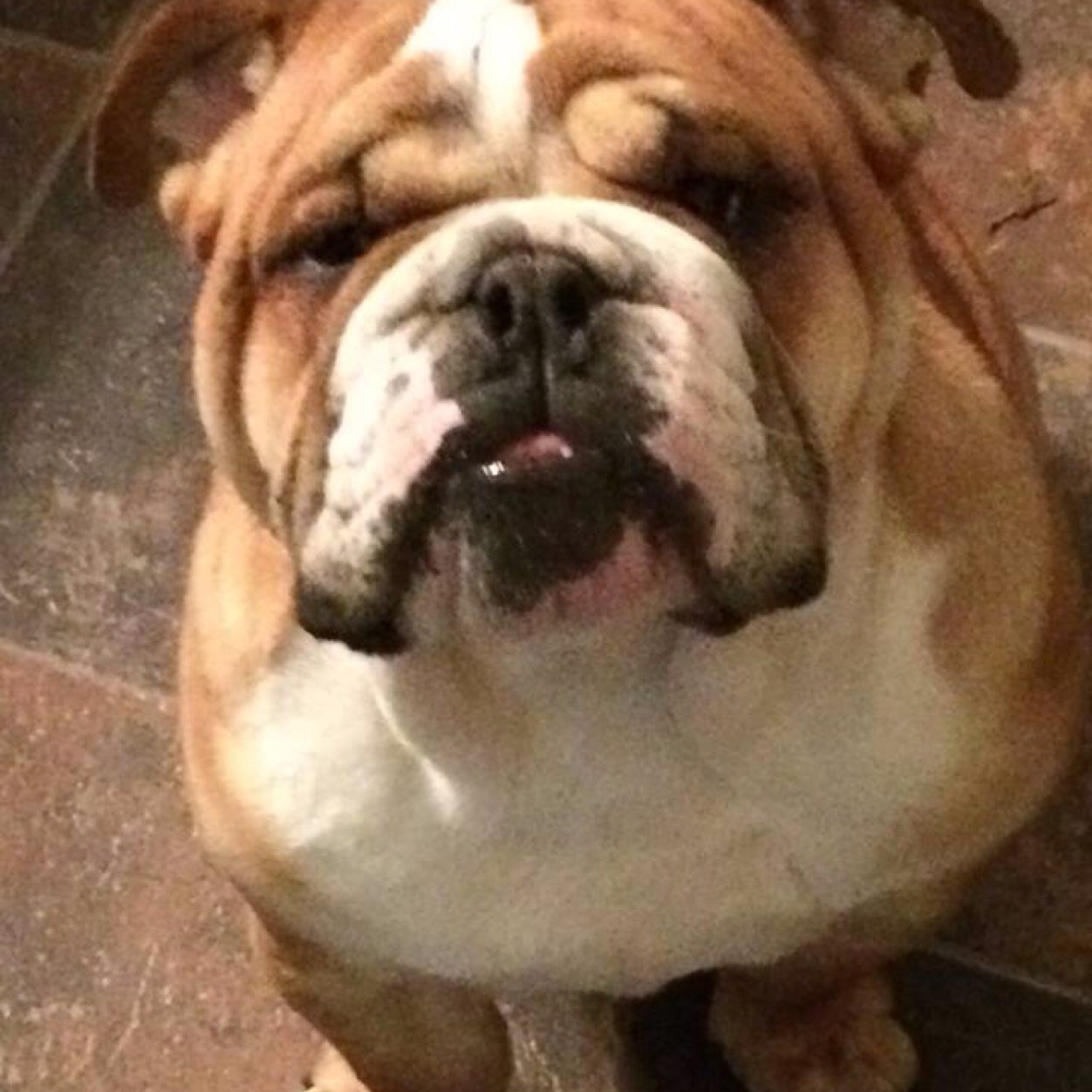 padawan2112's profile picture. 