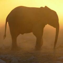 Netverdienst's profile picture. Eigenverantwortlich, selbständig, als exclusiver Geschäfts-Partner des Meet Coin Netzwerkes, eine sehr ertragreiche Geschäftstelle