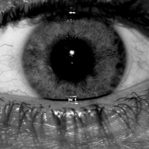 thzm78's profile picture. Independent Graphic Designer Multi-media Projects,Video, Motion & Film Production. Camera - Video Editor Independent Researcher of Ancient Technologies.