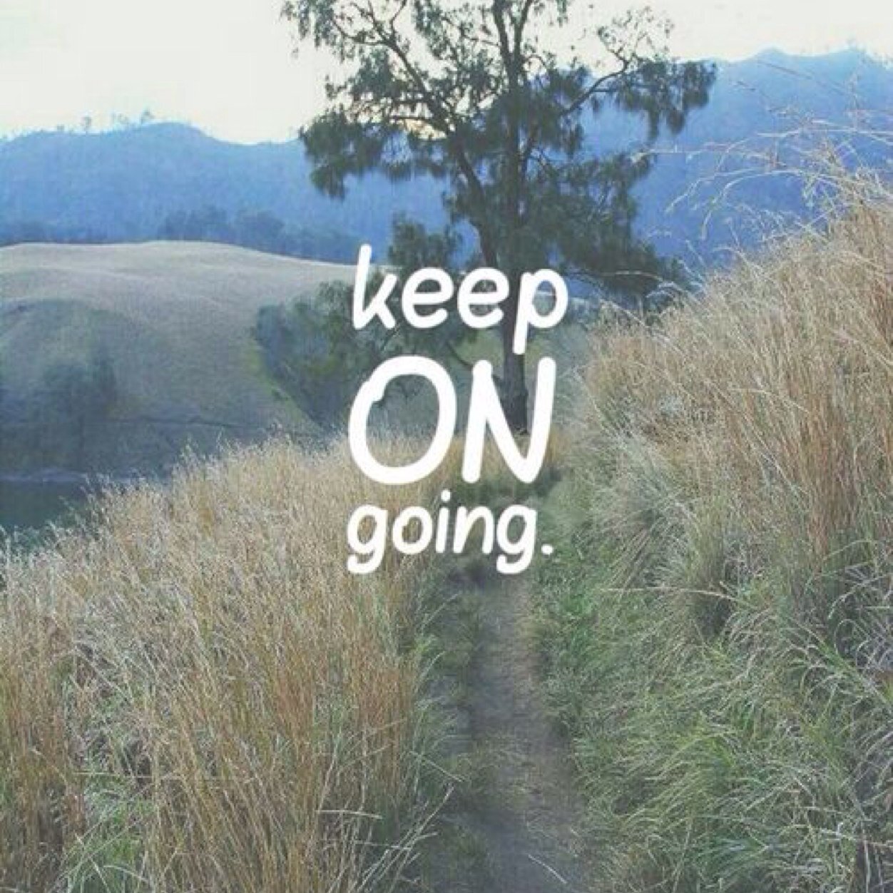 free_freework1's profile picture. 