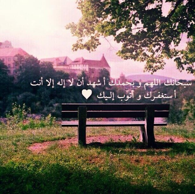 dddttttt's profile picture. 