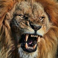 COACH WES (@wesleyfrayjr) 's Twitter Profile Photo