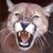 UVMClubLax's profile image