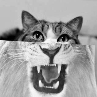 missyfits's profile picture. supersoldier hugs are my favorite // Bucky est ma vie maintenant // In denial of RL