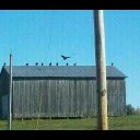 Matt Upton - @BringWhiskey - Twitter