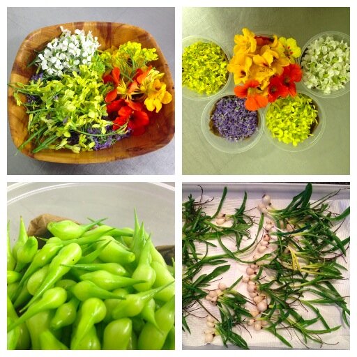 The Gathered Table is coming to a city near you! Support your local farmers and artisans! @kealanob @haddadavid