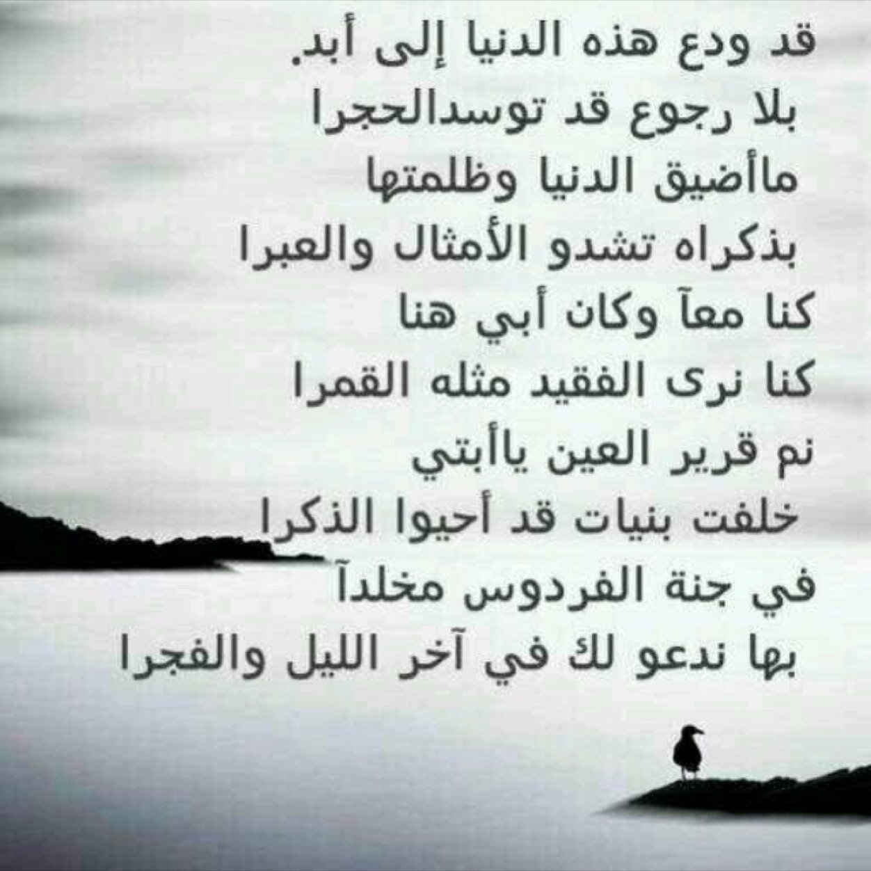 awatif07910175 Profile Picture