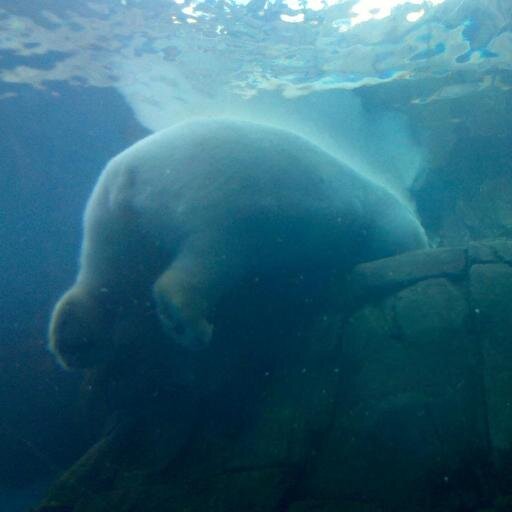 BeeDaDee1's profile picture. 