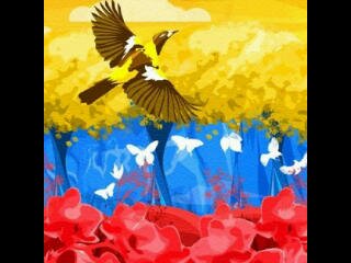 amante de la democracia,defensor de los DDHH,regionalista 100 xciento,RESISTIENDO HASTA MORIR!!!!