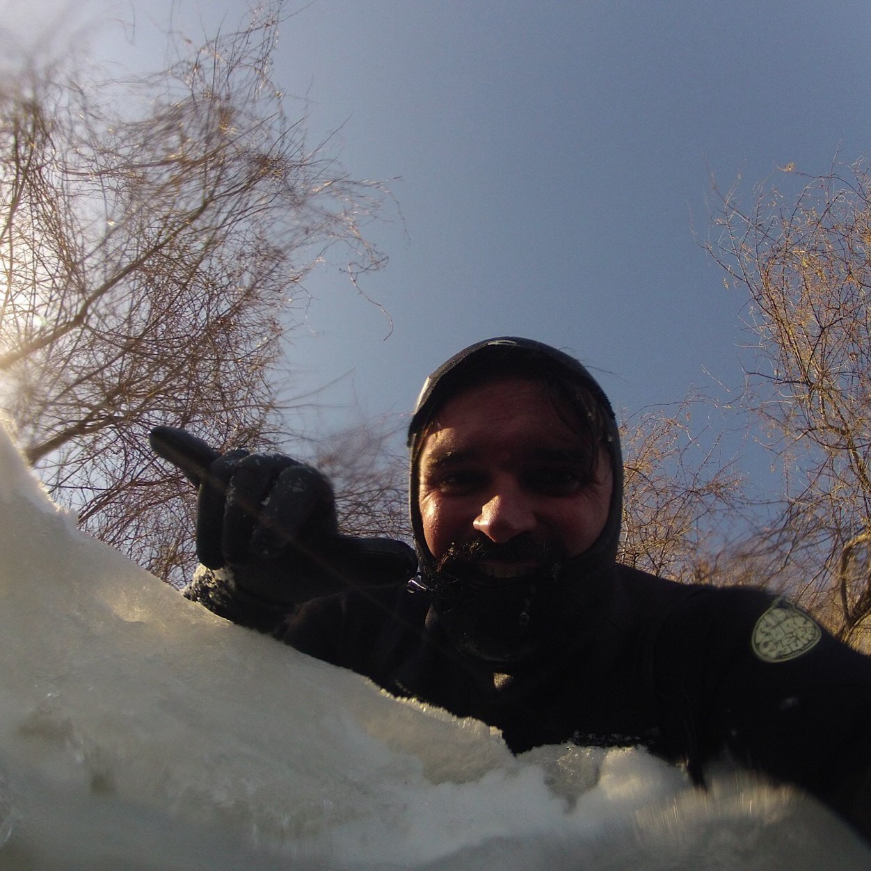 igorgoni's profile picture. 