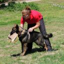 Vicky Copeland - @IrvickyK9 - Twitter