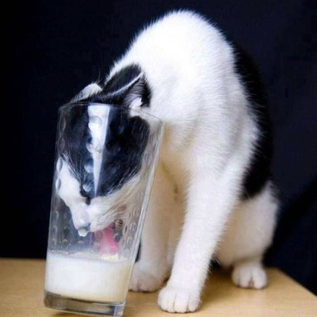 Taas24's profile picture. やりたいこと多過ぎて時間が足りない＼(^o^)／ 一期一会を大切に…