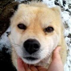 さくや rica I あい 他 bisen卒