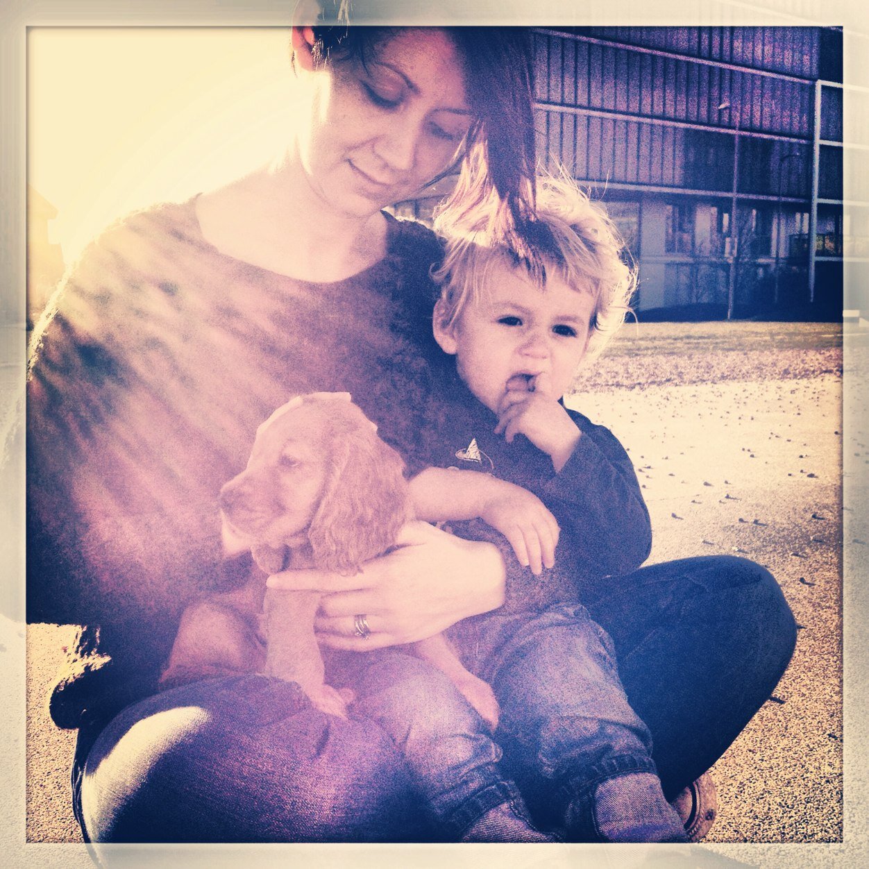 VThirkettle's profile picture. 