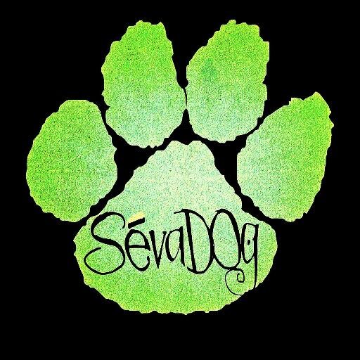 SevaDog is a unique, family style, not for profit organization dedicated to rescuing dogs facing euthanasia, specializing in training and behavior modification.