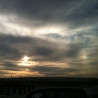 gemmabloomberry's profile picture. aspiring author. coffee addict. cat owner.