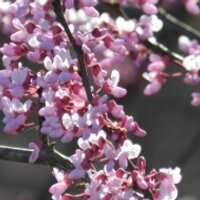 김성국 (@grape7141) 's Twitter Profile