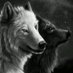 Sue Thorp (@thorpsue) Twitter profile photo Sue Thorp (@thorpsue) Twitter profile photo