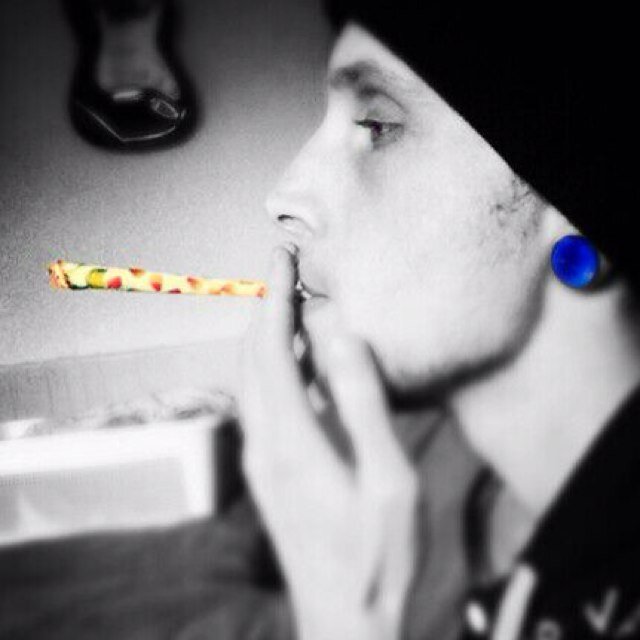 MarkGruijters's profile picture. 