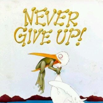have a nice day