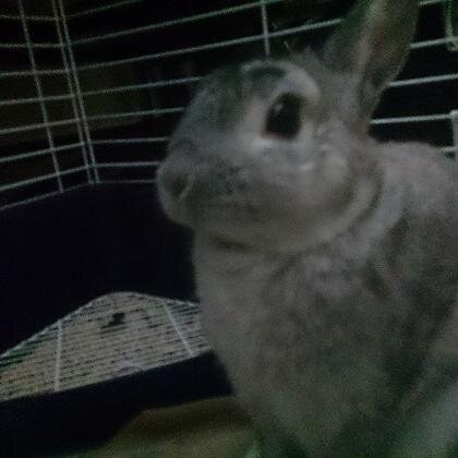 VancouverPinky's profile picture. 