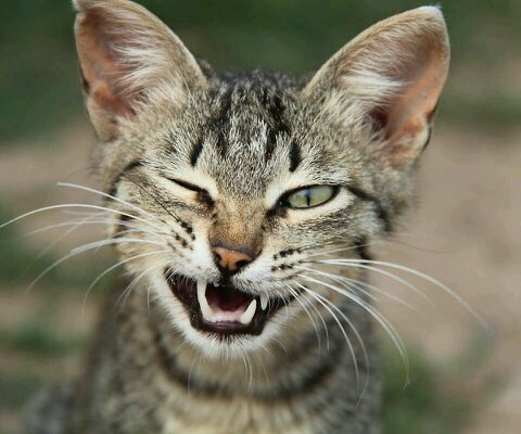 直富 桑名愛素佳 くわなあすか 最近は元気がないな 路上からはじめようか 短時間でも 引きこもると癖になるよ 身体を動しましょう Http T Co Ojyzd0hn68