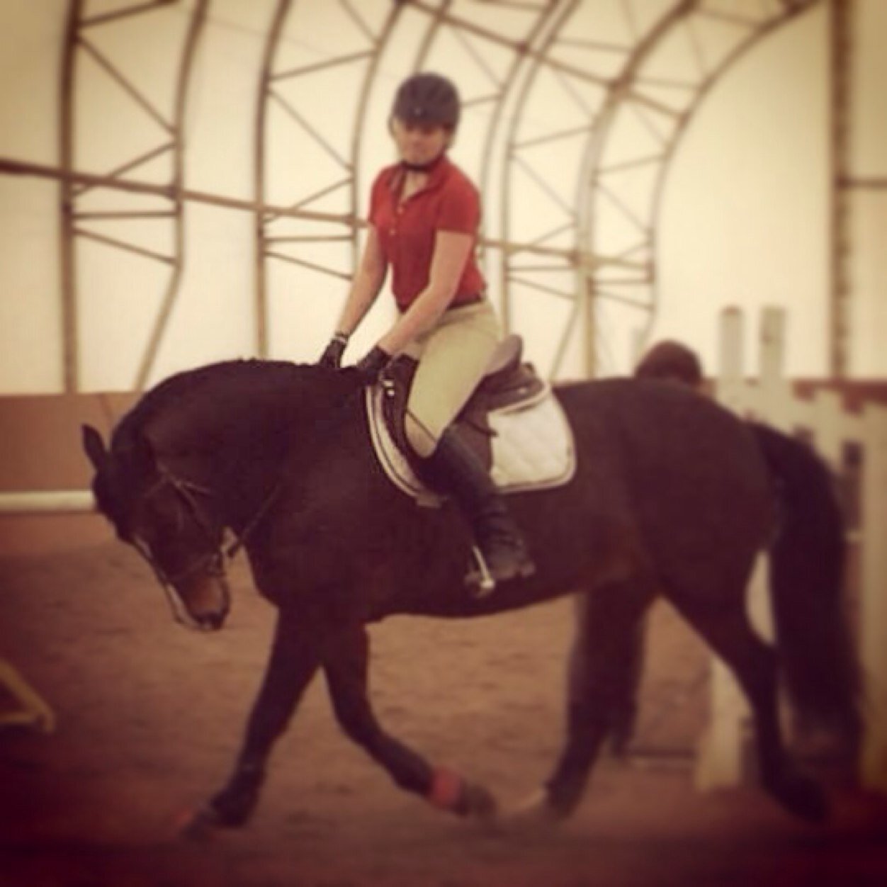 AllysonAndCoda1's profile picture. 