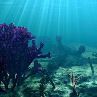 I am an advocate for the ecology well being of this planet and the sea creatures. Website