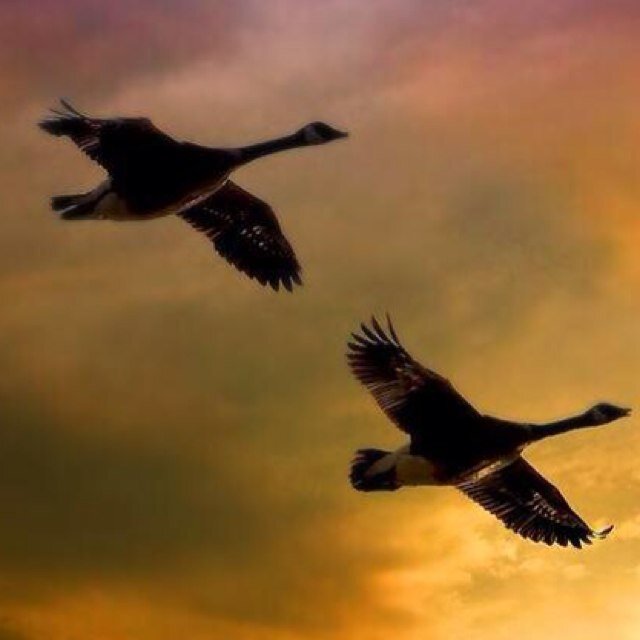 Light will come although of clouds , life is useless without hope . I don't the best but I've my style ..