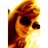 AnyIgpr's profile image