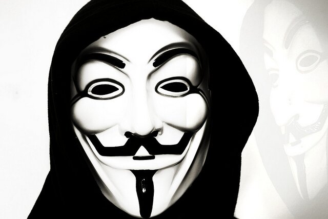 Programmer. Tinkerer. Fighter.