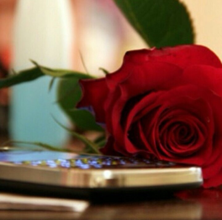 ‏ربي رضاك والجنه لي ولامي وابي وكل من في قلبي ,,,