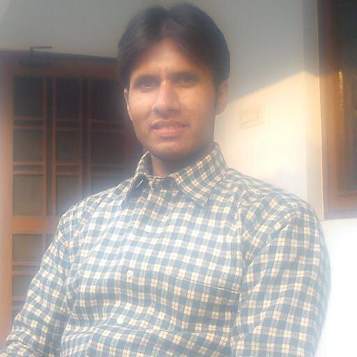 Freelance Writer