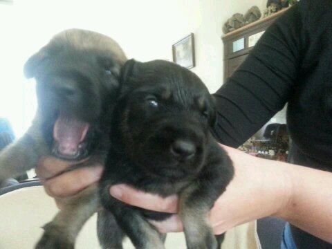 1971Niek's profile picture. 