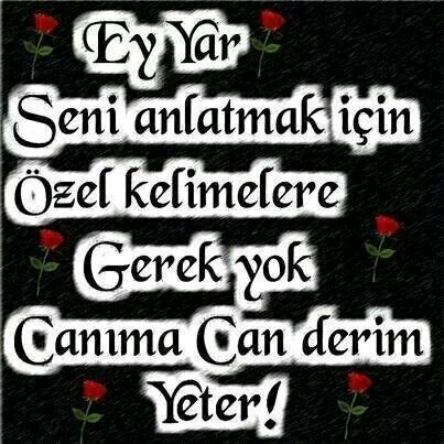 insan ya severek olur yada olurcesine sever...! BEN SADECE GS LIYIM