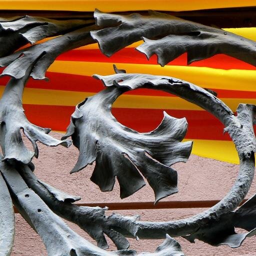 Carles_P's profile picture. No oblidem mai els origens.