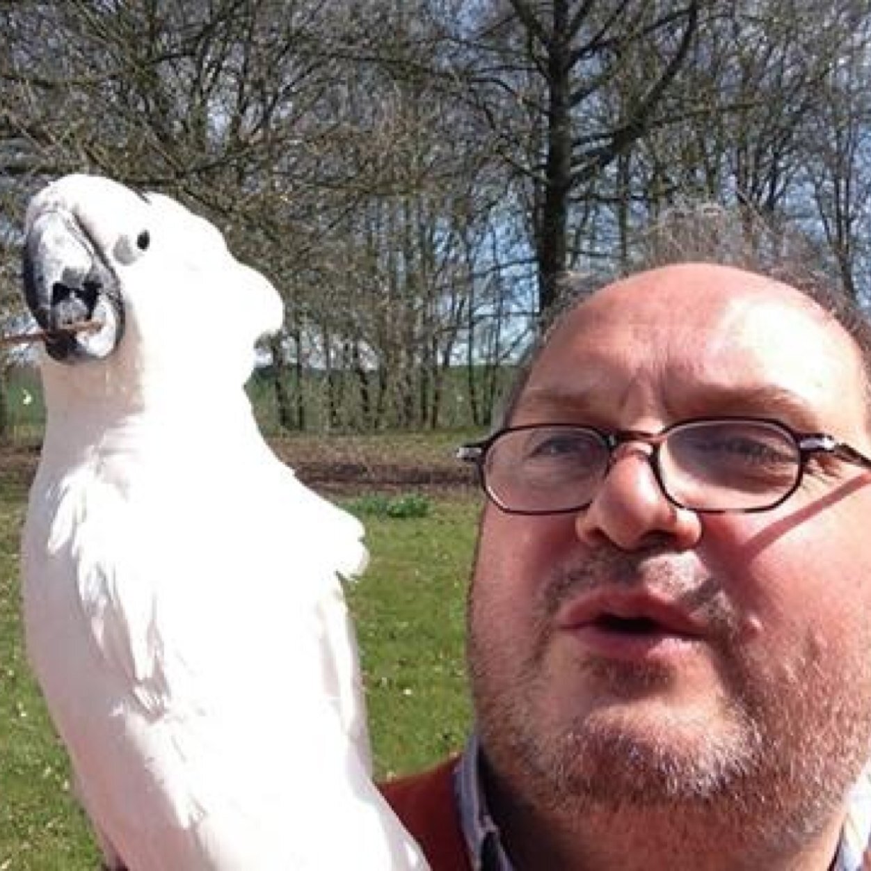 LemaireThibaud's profile picture. 