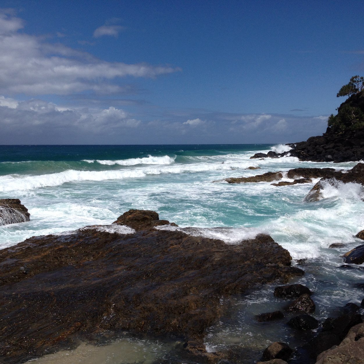 MoneySwift13's profile picture. 