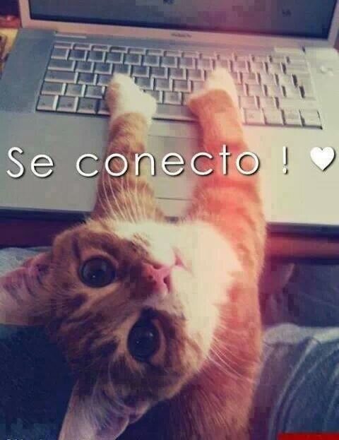 LEAH2707*-*