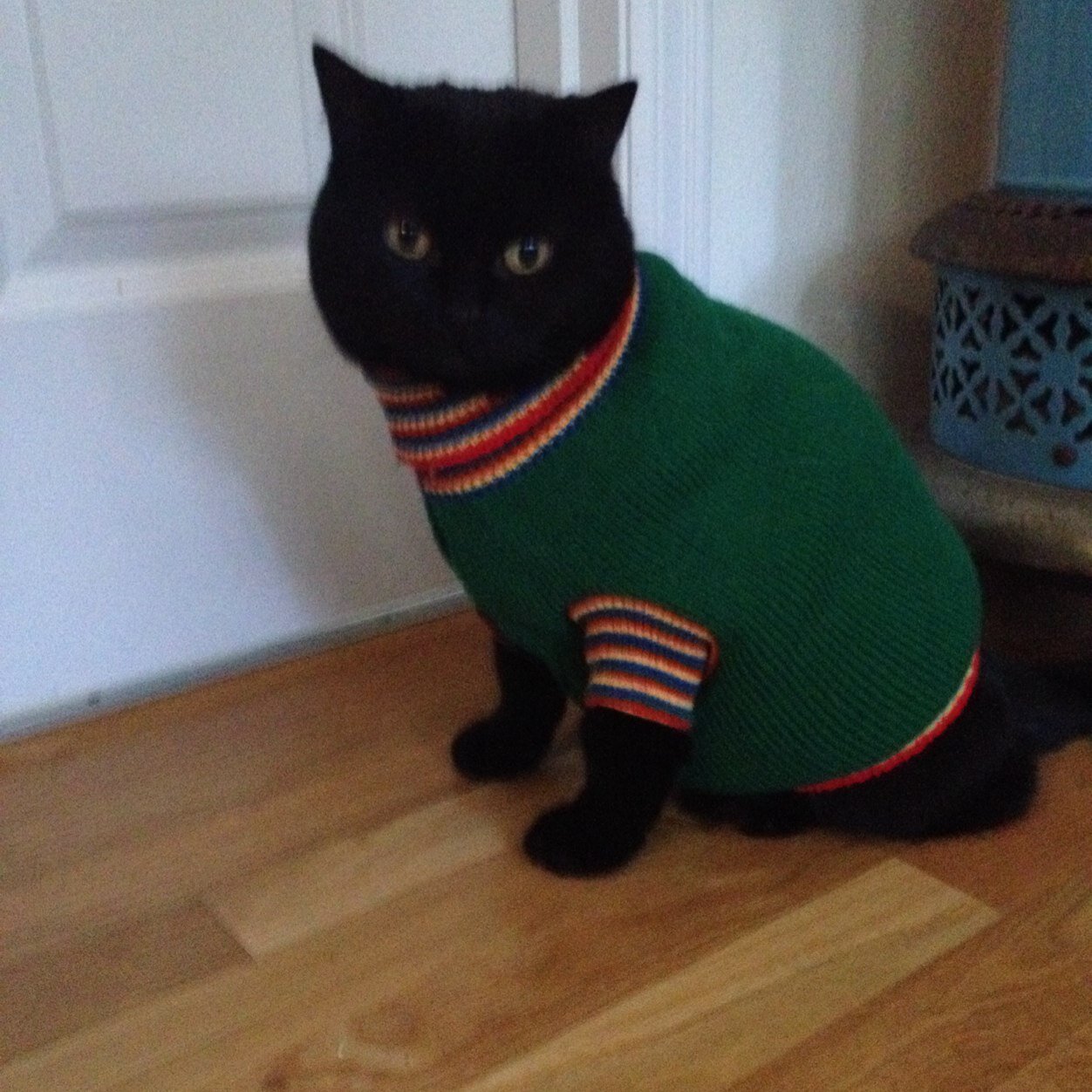 HannahHinman's profile picture. Junior KD at Washington State University & Go Cougs!!