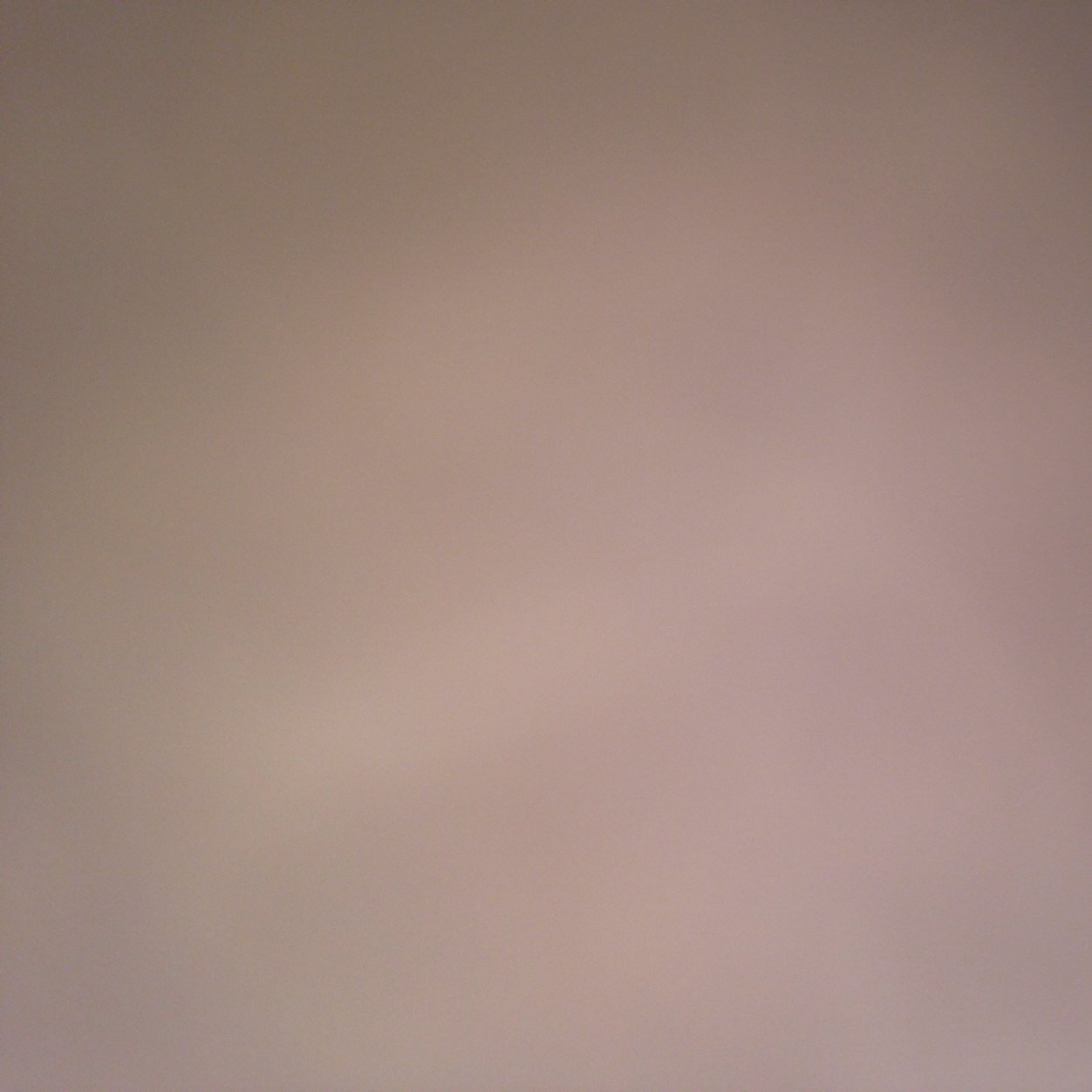 shitproblemslol's profile picture. 