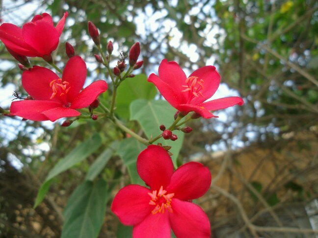 qwertycode15's profile picture. 