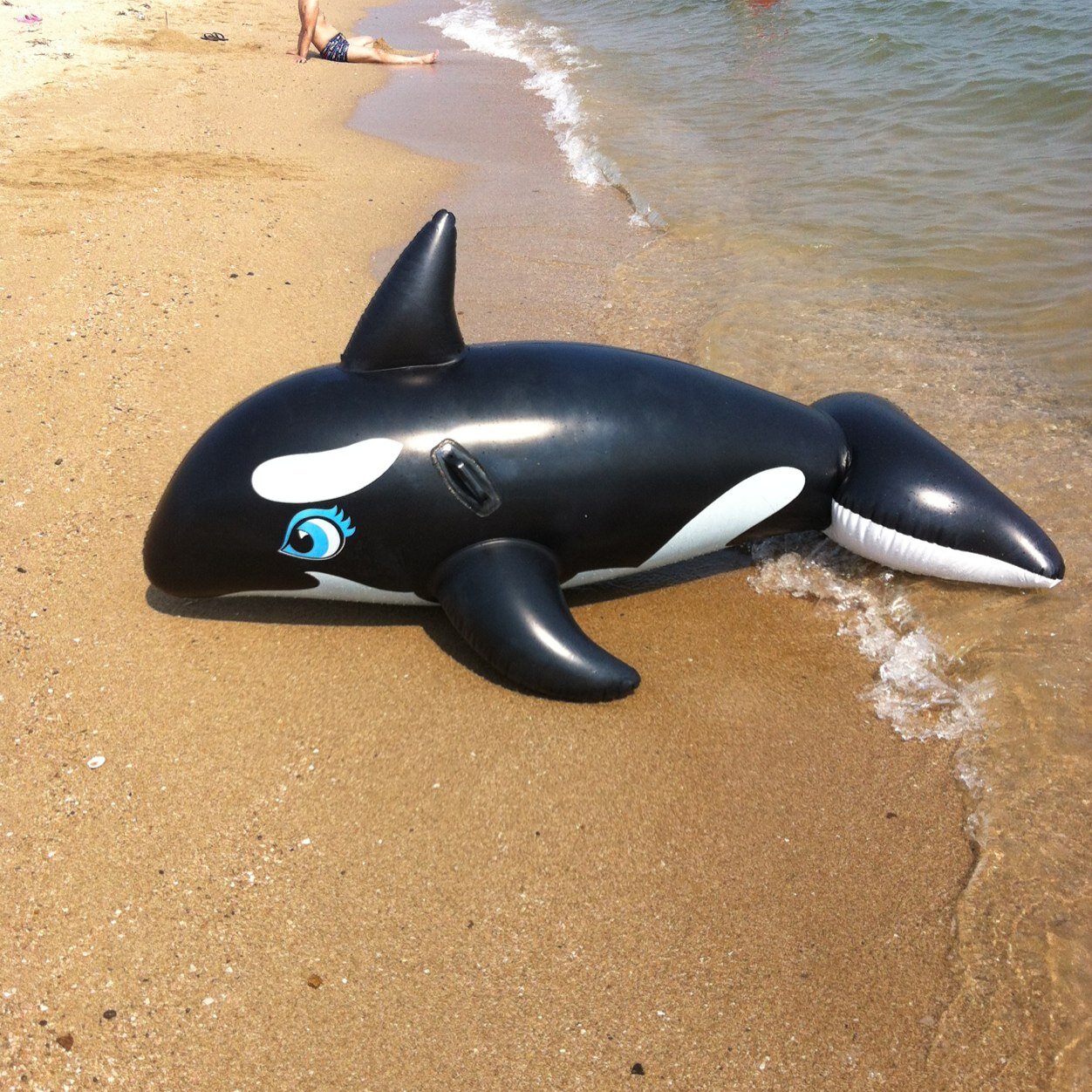 smisawa71's profile picture. パズドラID:149952202（シンチャン）永遠に48号推し 白猫 君の名は。サッカーオランダ代表がずっと好き  世界で一番好きな曲はイエモンのJAM