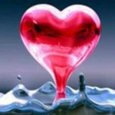 minsinn's profile image