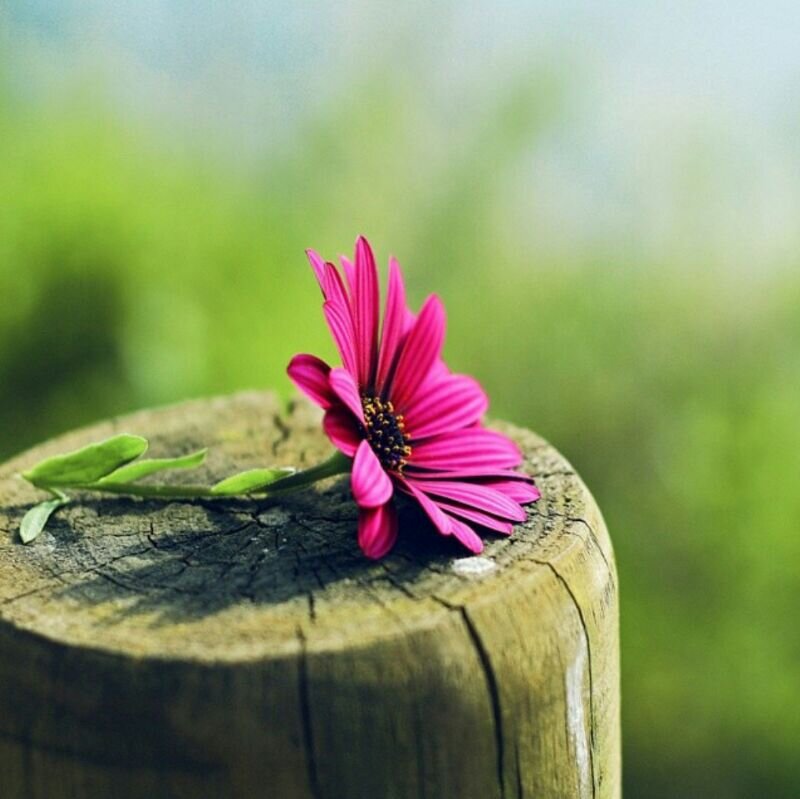 ·حساب للأدعية و ذكر الله ♡ 
ألا بذكر الله تطمئن القلوب
Instagaram: Ajr_thwab