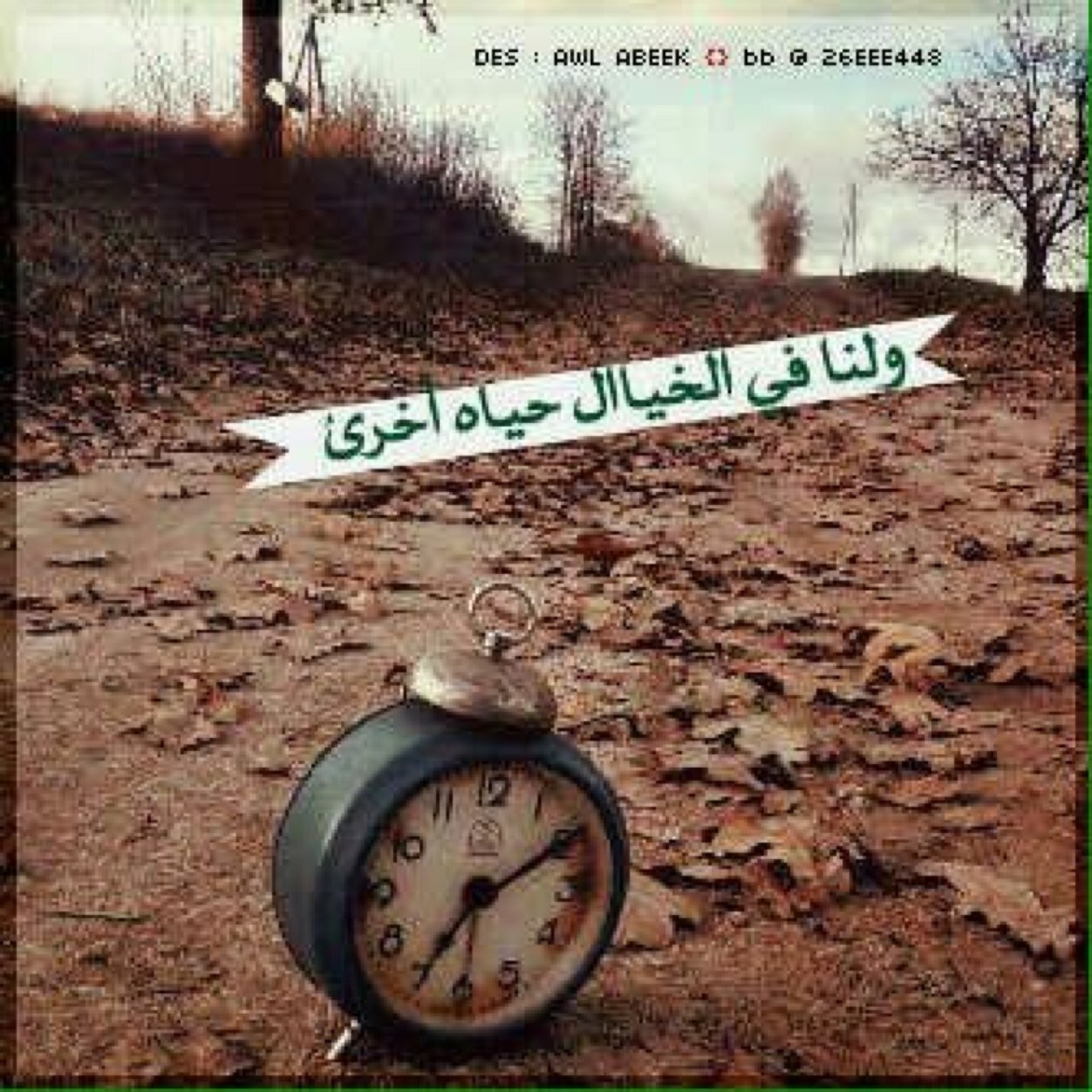 المدينة المنورة