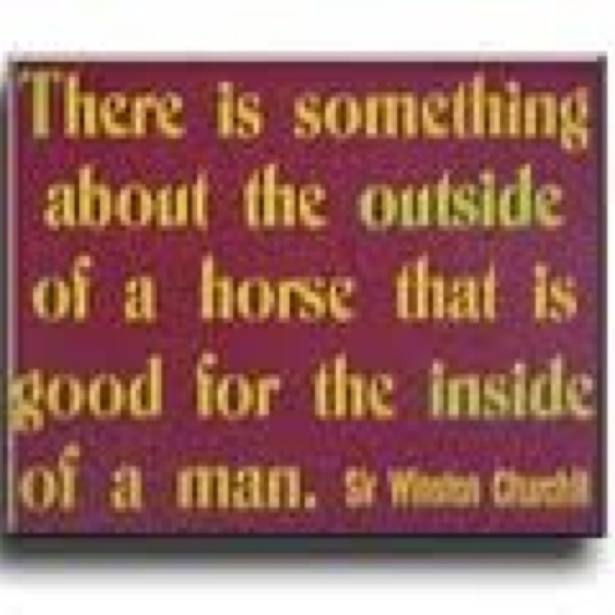 40 something hubby and dad  ..This account is the hub of a dream to show the world the beauty and gentleness of horses.